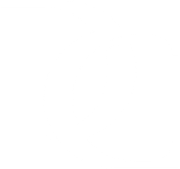 Digital Creation